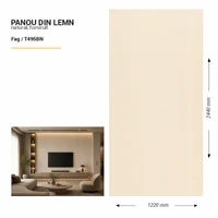 Panou din lemn furniruit, T495BN, Fag, 2440x1220x3.8mm