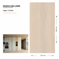 Panou din lemn furniruit, T197AN, Stejar, 2440x1220x3.8mm