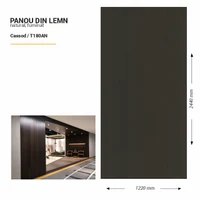 Panou din lemn furniruit, T180AN, Cassod, 2440x1220x3.8mm