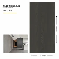 Panou din lemn furniruit, T176CS, Ulm, 2440x1220x3.8mm