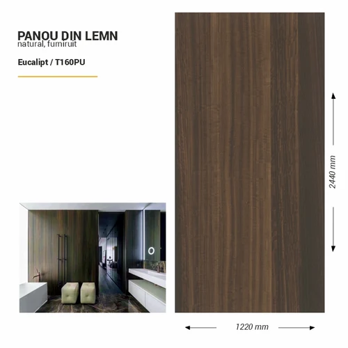 Panou din lemn furniruit, T160PU, Eucalipt, 2440x1220x3.8mm