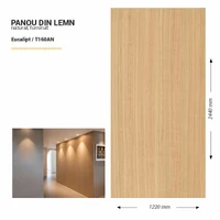 Panou din lemn furniruit, T160AN, Eucalipt, 2440x1220x3.8mm