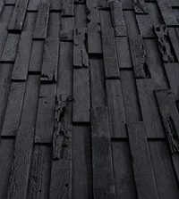 Объёмная панель из натурального дерева BLACK CORAL,  CR-008 6