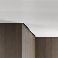 UB2-V2, Profil de tip ascuns pentru tavan, Negru Matt, 2,5m 4