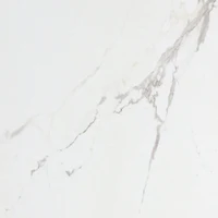 Стеновая панель SPC Pietra Santa White WMS 538C (Made in EU) 4