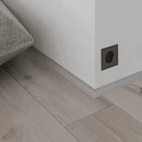 AL 16×20, Микро плинтус для пола, матовый серебристый, 2.5 м 5