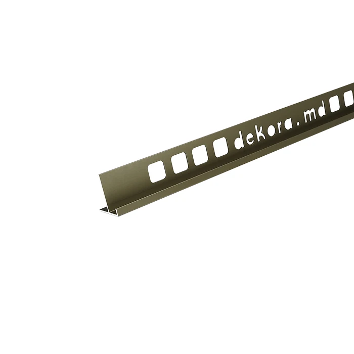CT10 Profil aluminiu pentru trepte 10 mm, 2.5 m, Champagne Matt 2