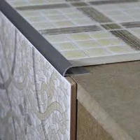 Z10, Profil aluminiu pentru gresie 10 mm, colț exterior, 2.5m, Champagne Polish 2