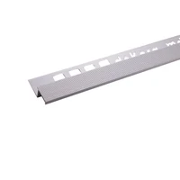 S1, Profil aluminiu pentru trepte, incorporabil, 2 m, Silver Matt