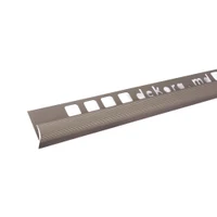 R10, Profil din aluminiu pentru trepte, 10x10 mm, Champagne, 2.5 m